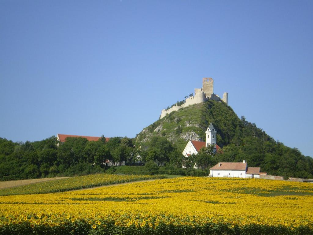 Hotel Gaestezimmer Rieder Staatz Zewnętrze zdjęcie